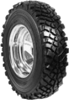Insa Turbo Sahara Competition