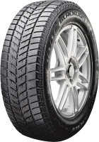 Blacklion Winter Tamer BW56