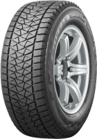 Bridgestone Blizzak DM-V2